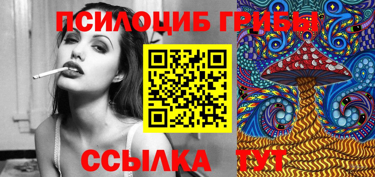 Алейск  купить закладку  Вход с VPN  Псилоцибиновые грибы Psilocybe 