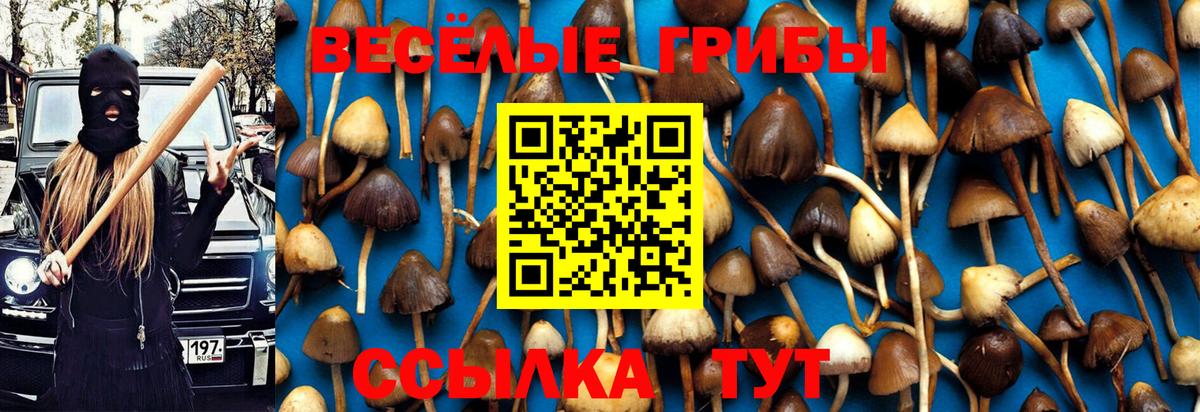 Псилоцибиновые грибы Magic Shrooms Алейск