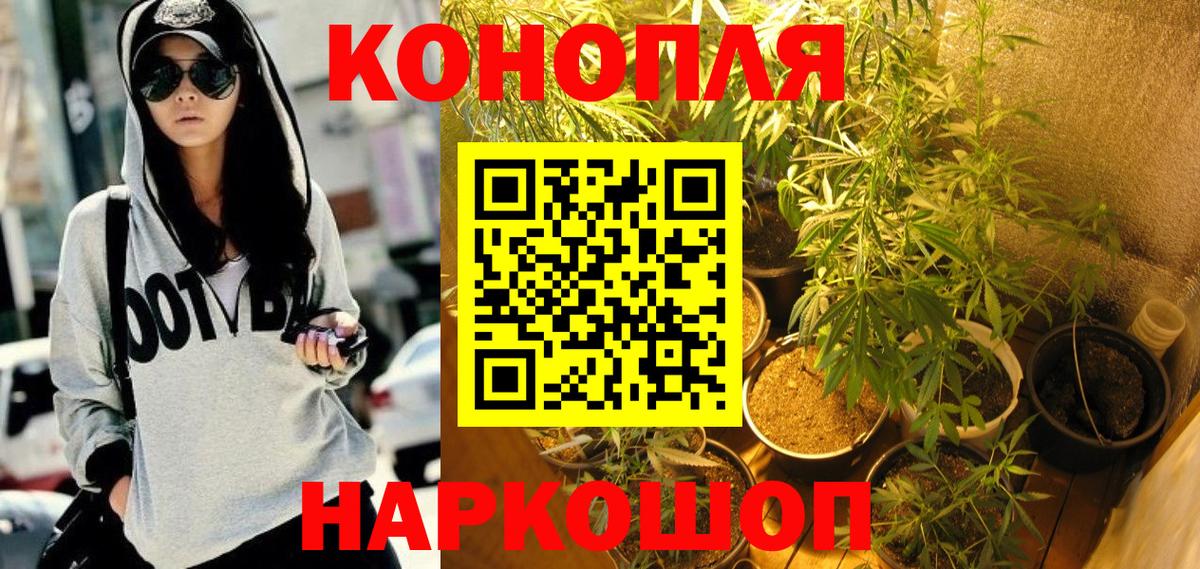Бошки марихуана Amnesia Алейск